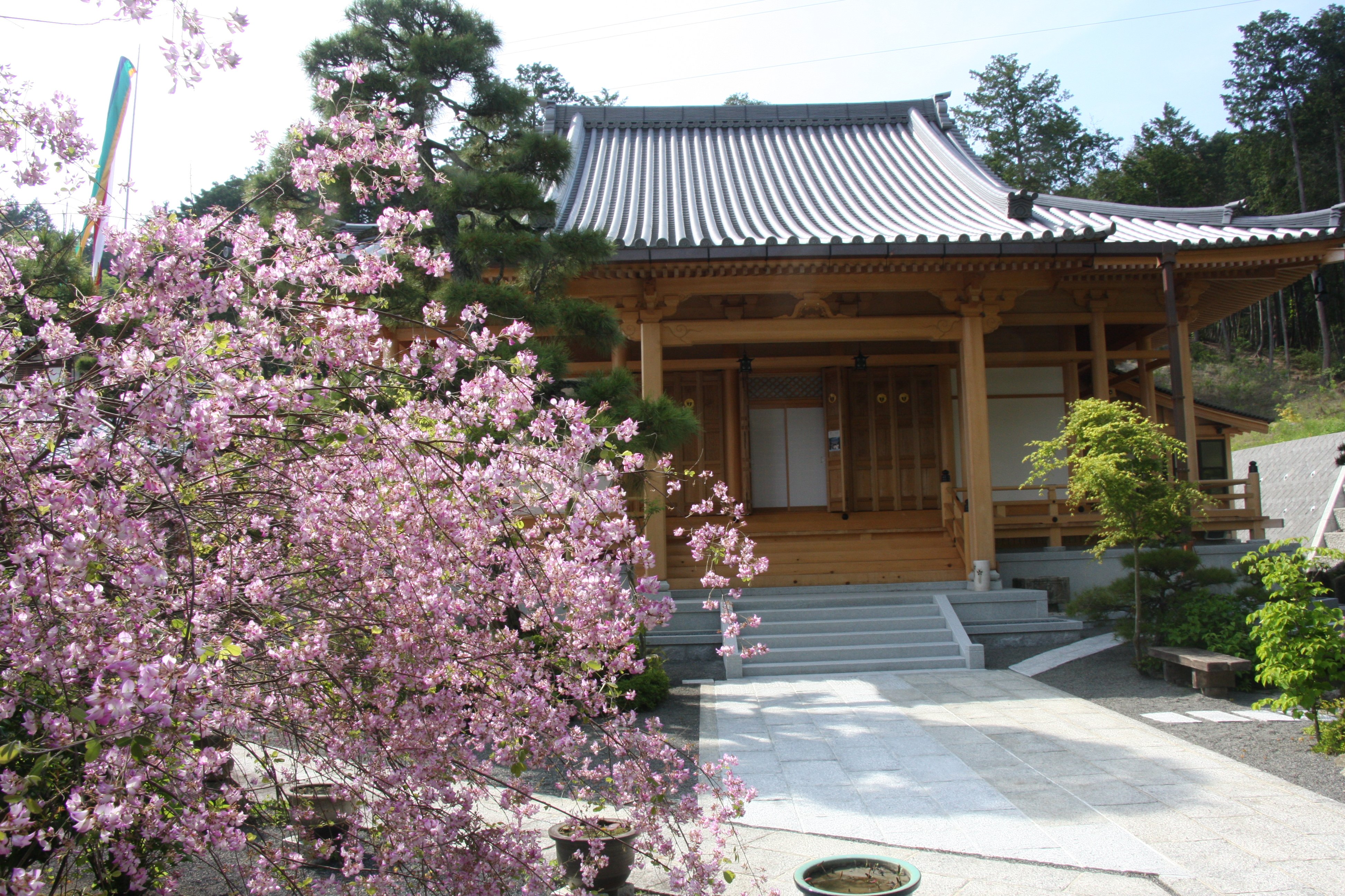 西應寺（さいおうじ）～花と紅葉のお寺～