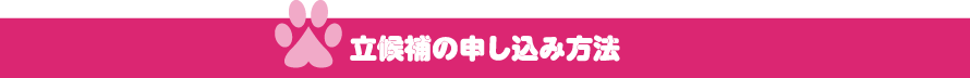 立候補の申し込み方法