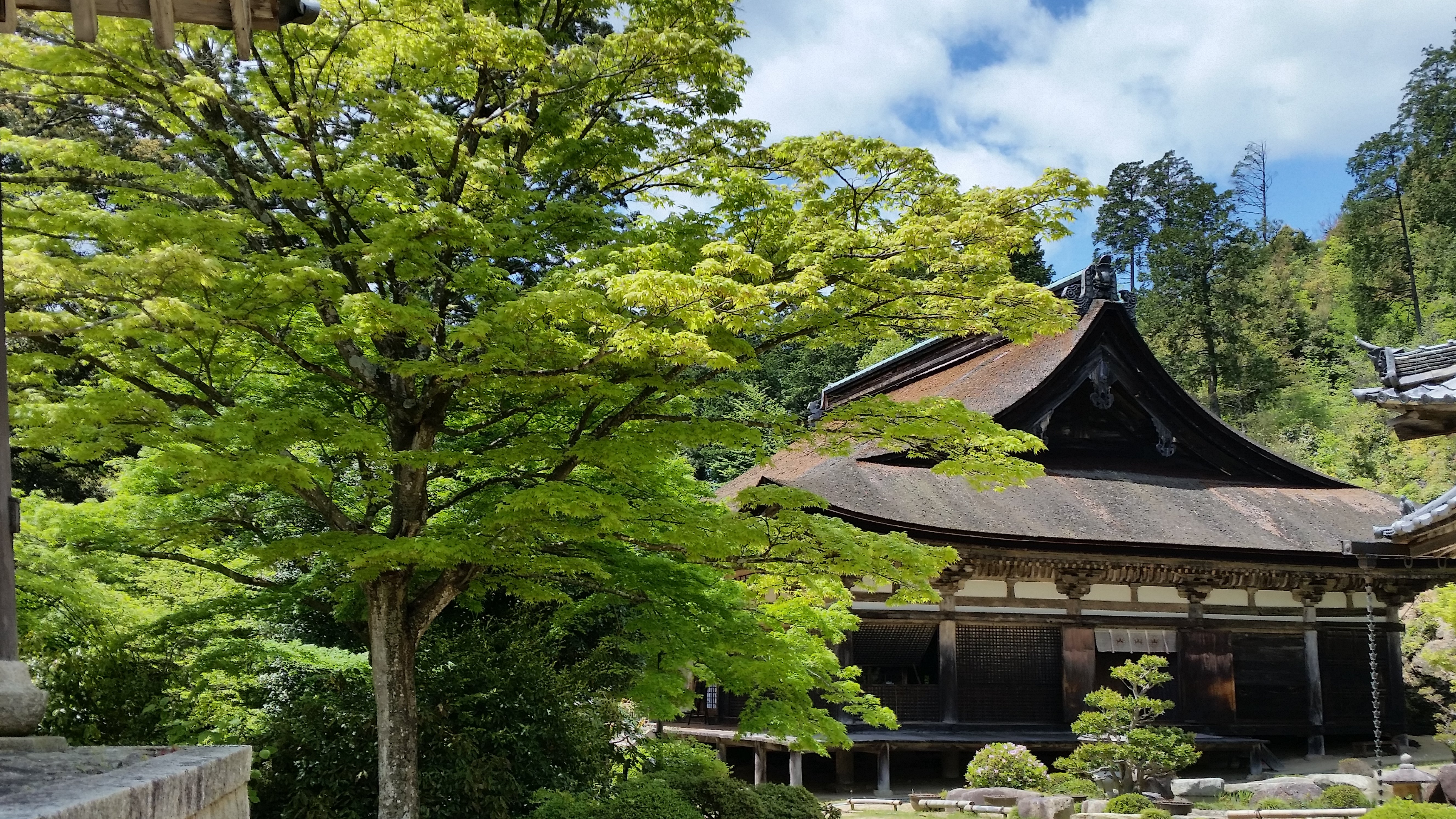 2024年4月29日(祝月)開催JRふれあいハイキング