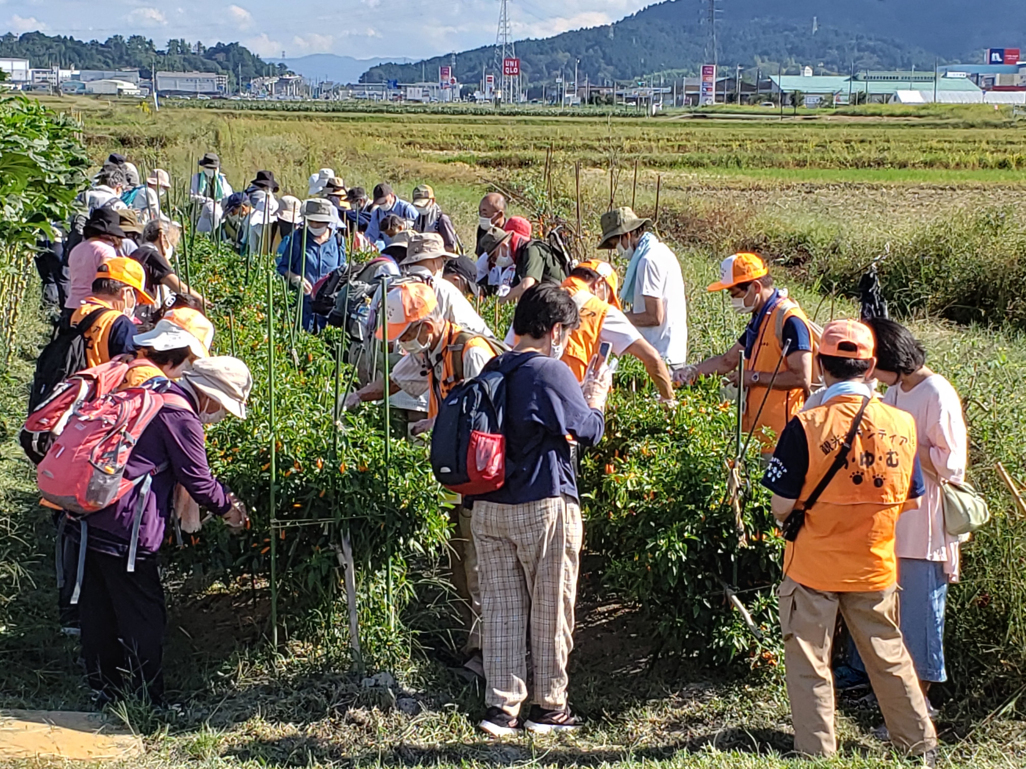 【昼食付・予約制】2022年10月2日(日)開催JRふれあいハイキング