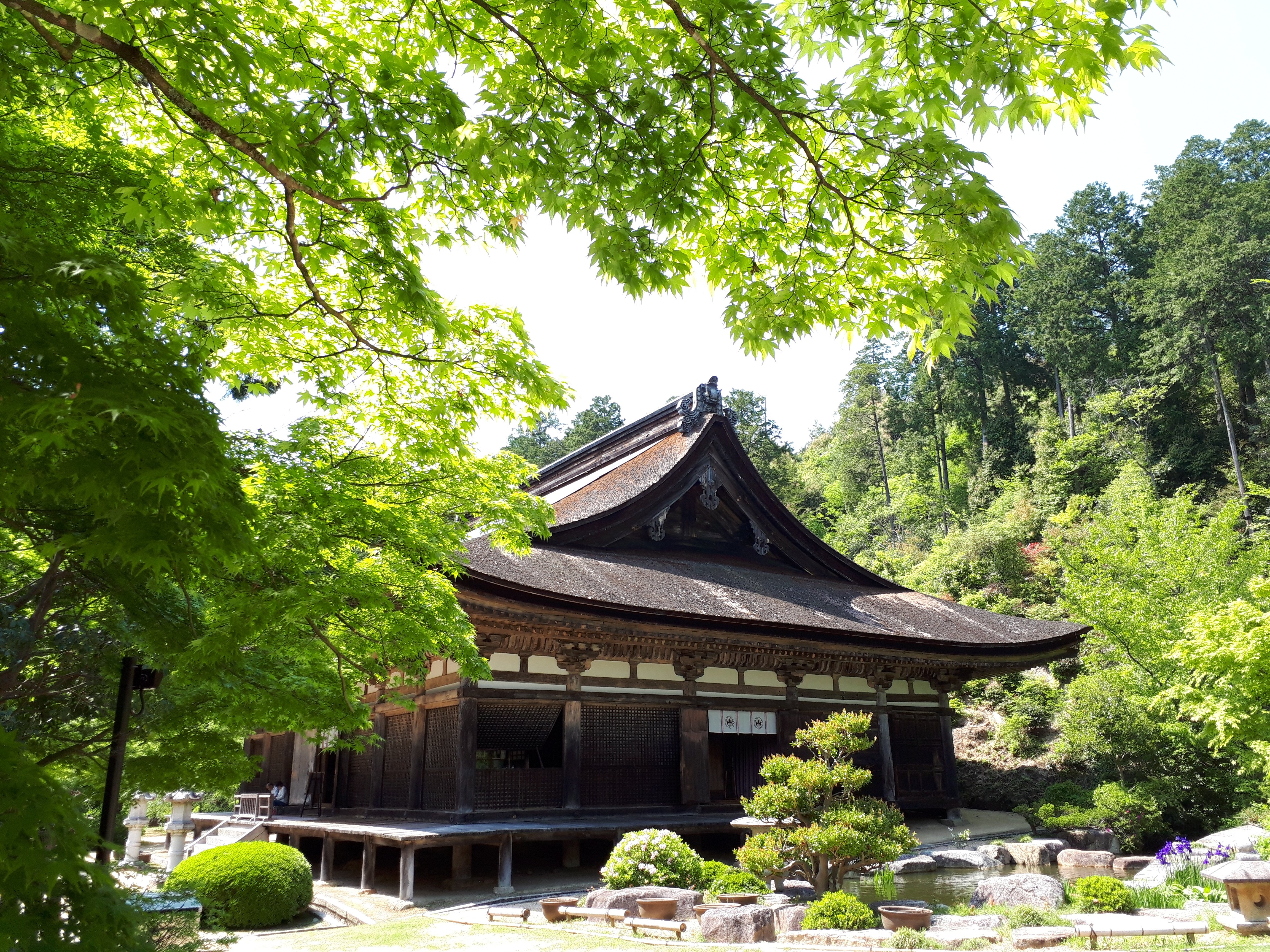 2026年4月29日(祝・水)開催JRふれあいハイキング【予約不要】