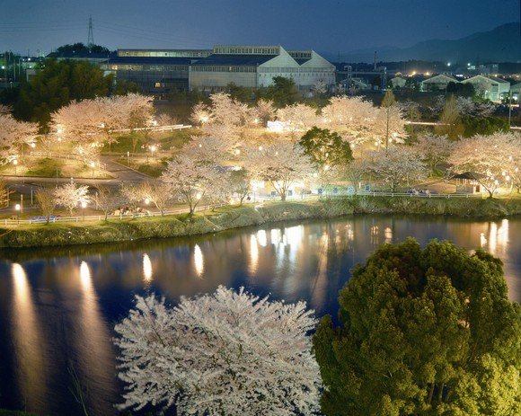 にごり池自然公園（にごりいけしぜんこうえん）