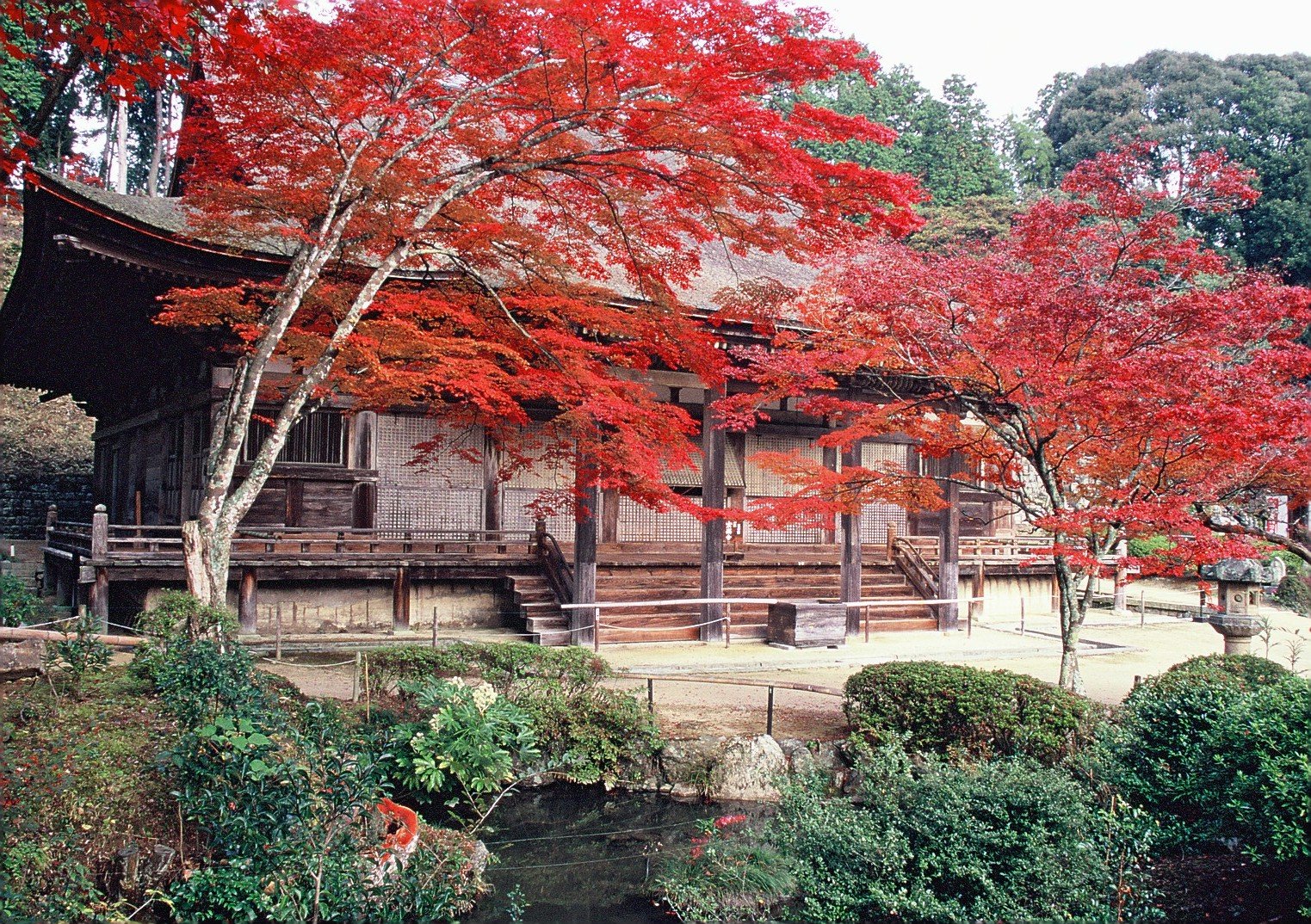 常楽寺（じょうらくじ）