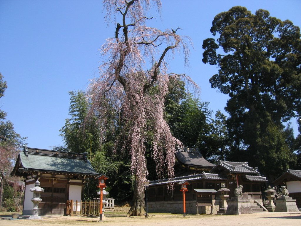 齋神社（いつきじんじゃ）