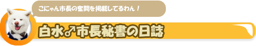 こにゃん市長秘書の日誌