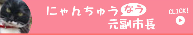 にゃんちゅう元副市長