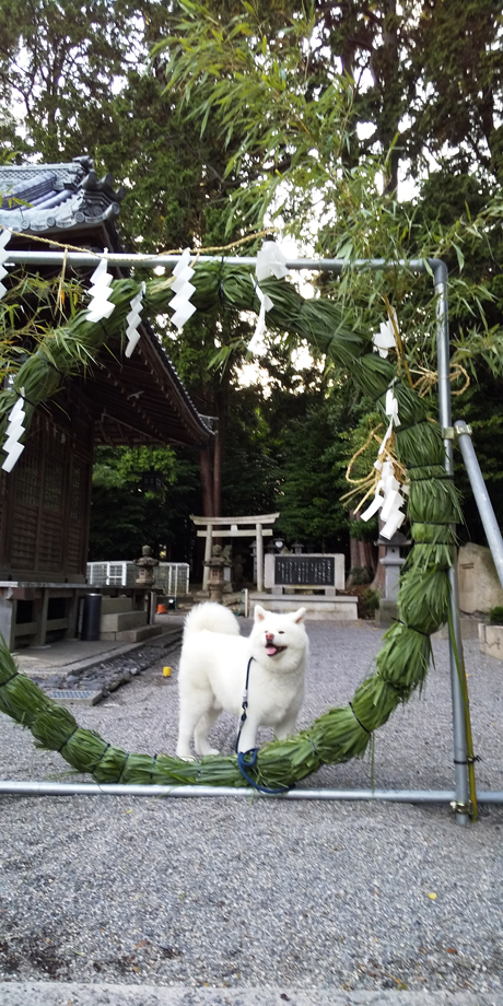 白水(いずみ)の市長日記9♪_写真1.jpg