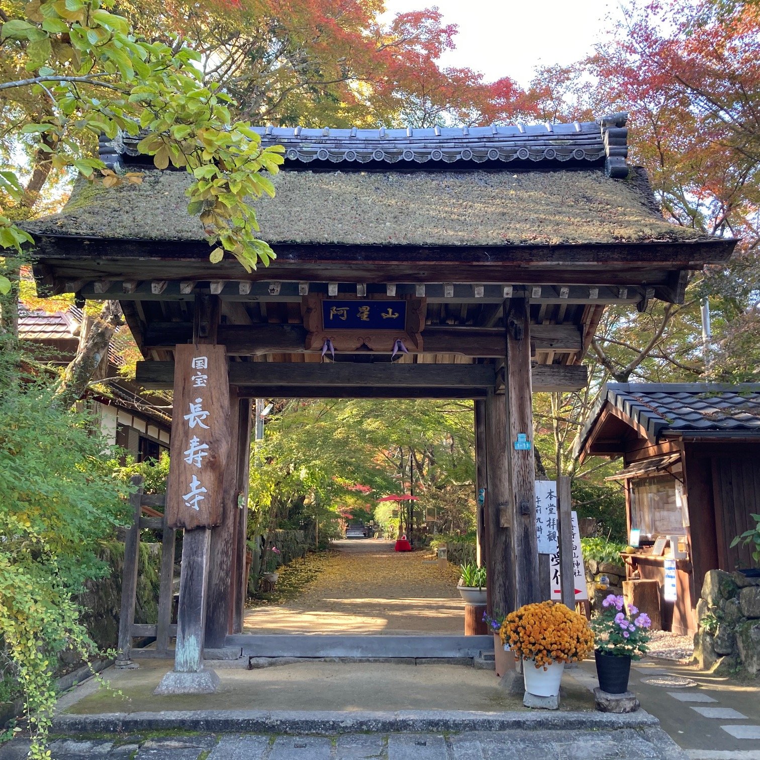 2021.11.16長壽寺.jpg