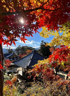 【優秀賞】湖南三山フォトコン2025.jpg