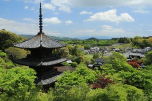 【常楽寺住職賞】湖南三山フォトコン2025.jpeg