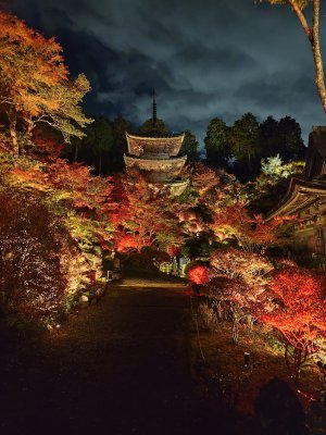 【優秀賞3】湖南三山フォトコン2025.jpg