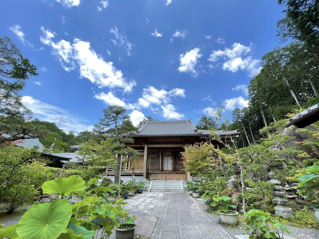 【西應寺】花の寺リトリート「写経・お抹茶たて体験」ヴィーガン弁当ランチ付き 5